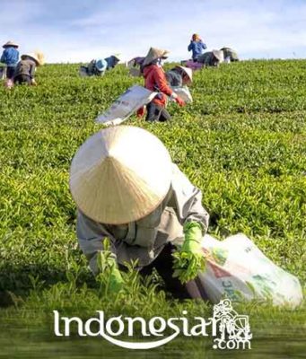 indonesiar.com