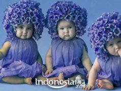 indonesiar.com