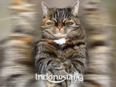 indonesiar.com