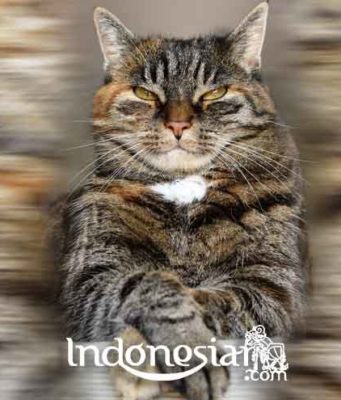 indonesiar.com