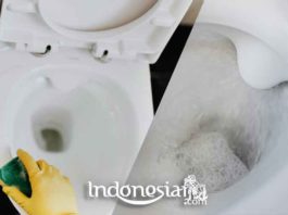 indonesiar.com